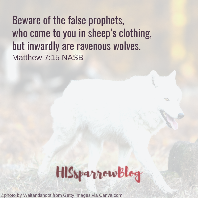 Beware of the false prophets, who come to you in sheep’s clothing, but inwardly are ravenous wolves. Matthew 7:15 NASB | HISsparrowBlog