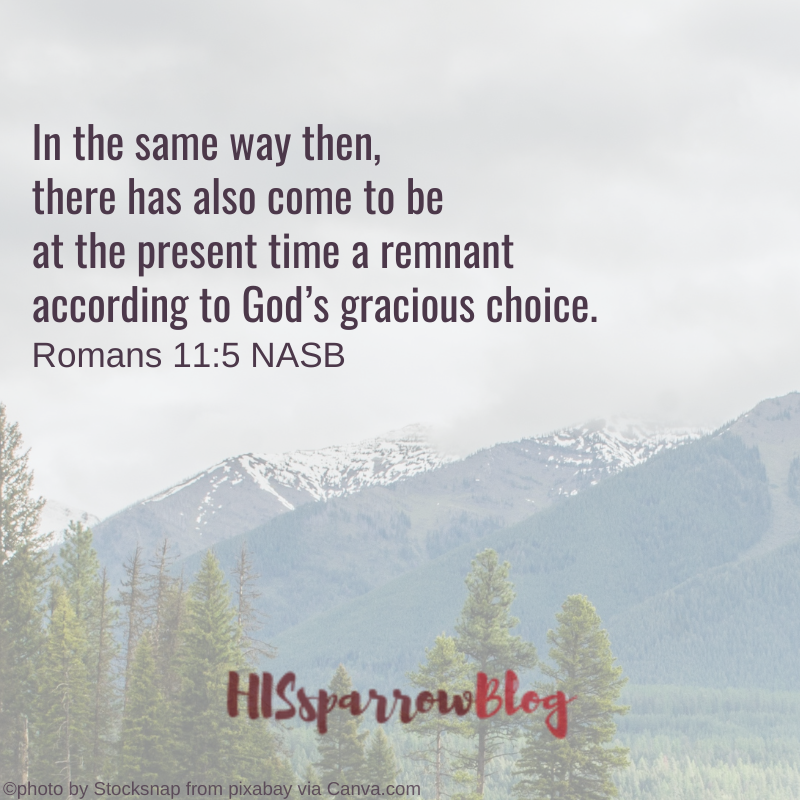 In the same way then, there has also come to be at the present time a remnant according to God’s gracious choice. Romans 11:5 NASB | HISsparrowBlog