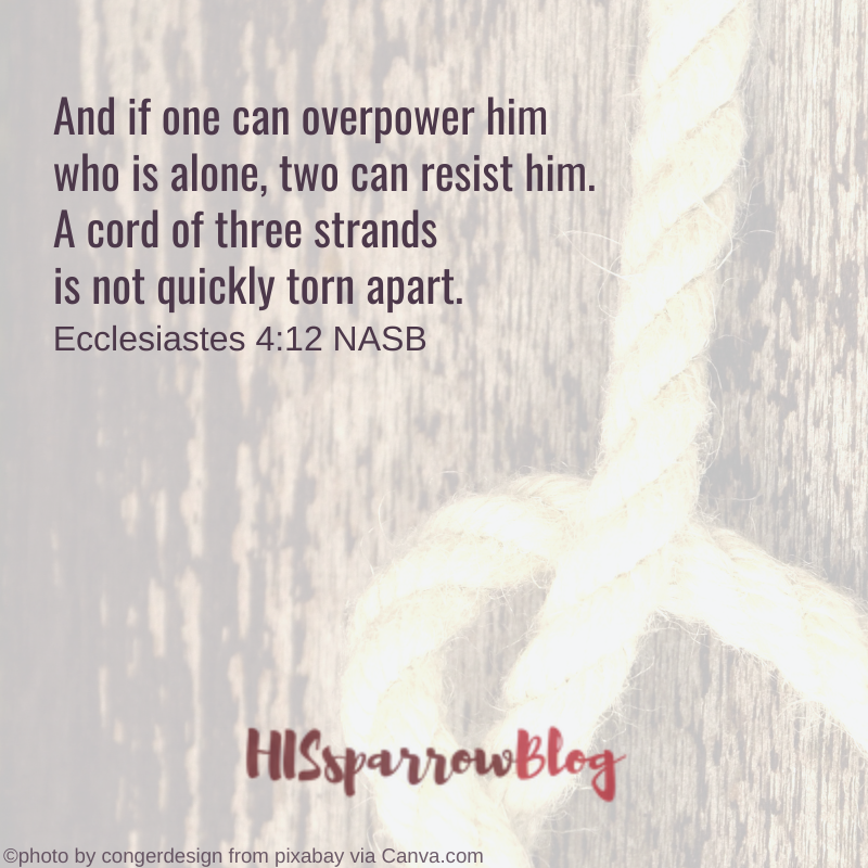 And if one can overpower him who is alone, two can resist him. A cord of three strands is not quickly torn apart. Ecclesiastes 4:12 NASB | HISsparrowBlog