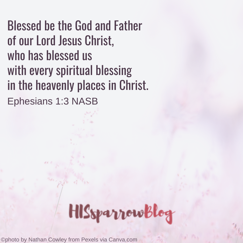 Blessed be the God and Father of our Lord Jesus Christ, who has blessed us with every spiritual blessing in the heavenly places in Christ. Ephesians 1:3 NASB | HISsparrowBlog