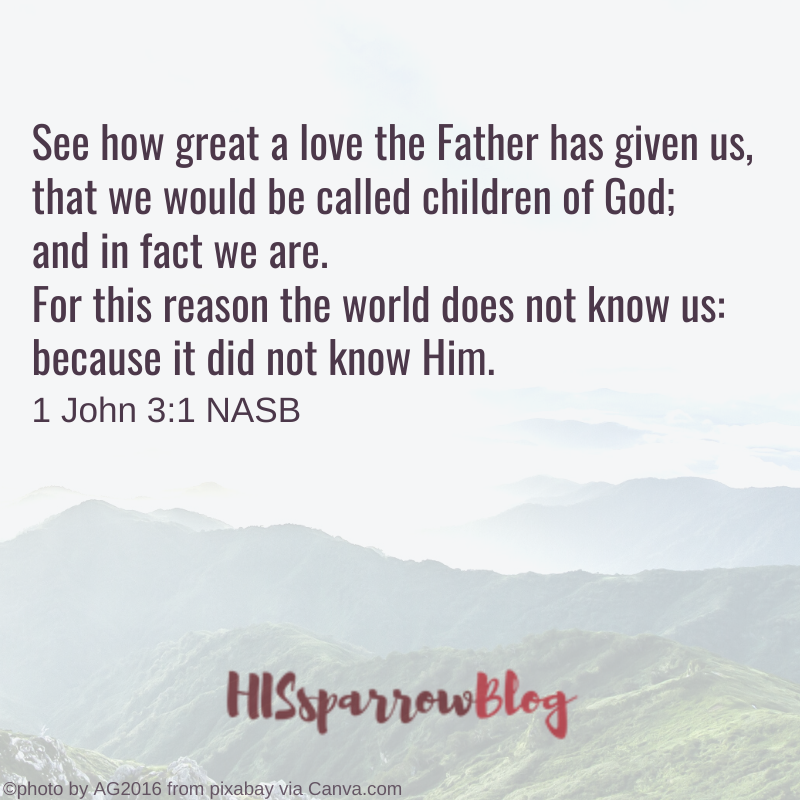 See how great a love the Father has given us, that we would be called children of God; and in fact we are. For this reason the world does not know us: because it did not know Him. 1 John 3:1 NASB | HISsparrowBlog
