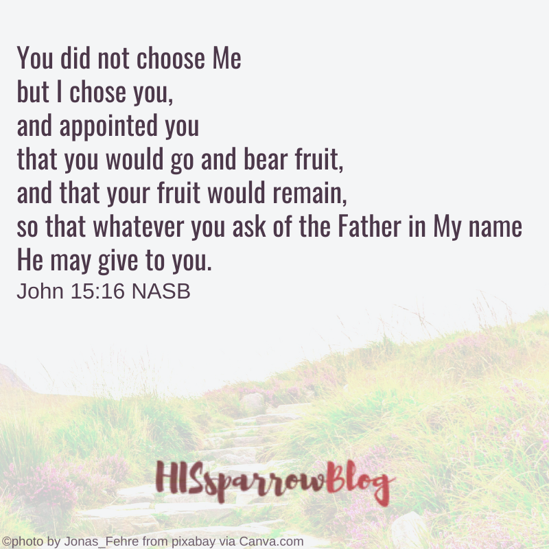 You did not choose Me but I chose you, and appointed you that you would go and bear fruit, and that your fruit would remain, so that whatever you ask of the Father in My name He may give to you. John 15:16 NASB | HISsparrowBlog