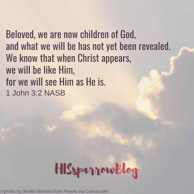 Beloved, we are now children of God, and what we will be has not yet been revealed. We know that when Christ appears, we will be like Him, for we will see Him as He is. 1 John 32 NASB | HISsparrowBlog 