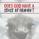 Does God Have a Sense of Humor?