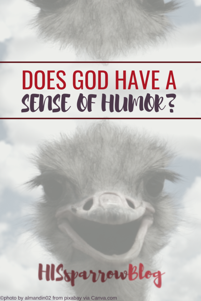 Does God Have a Sense of Humor | HISsparrowBlog