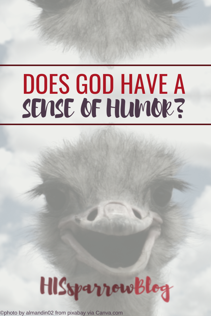 Read more about the article Does God Have a Sense of Humor?