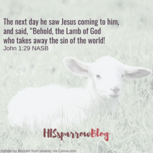 Messiah Prophesied: the Names of Jesus - HISsparrowBlog