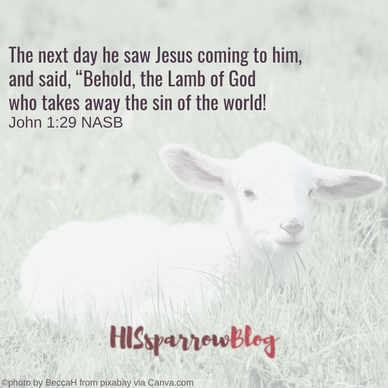 The next day he saw Jesus coming to him, and said, “Behold, the Lamb of God who takes away the sin of the world! John 1:29 NASB | HISsparrowBlog