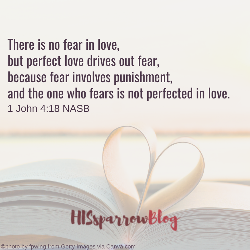 There is no fear in love, but perfect love drives out fear, because fear involves punishment, and the one who fears is not perfected in love. 
1 John 4:18 NASB | HISsparrowBlog