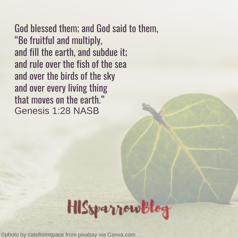 God blessed them; and God said to them, “Be fruitful and multiply, and fill the earth, and subdue it; and rule over the fish of the sea and over the birds of the sky and over every living thing that moves on the earth.” Genesis 1:28 NASB | HISsparrowBlog