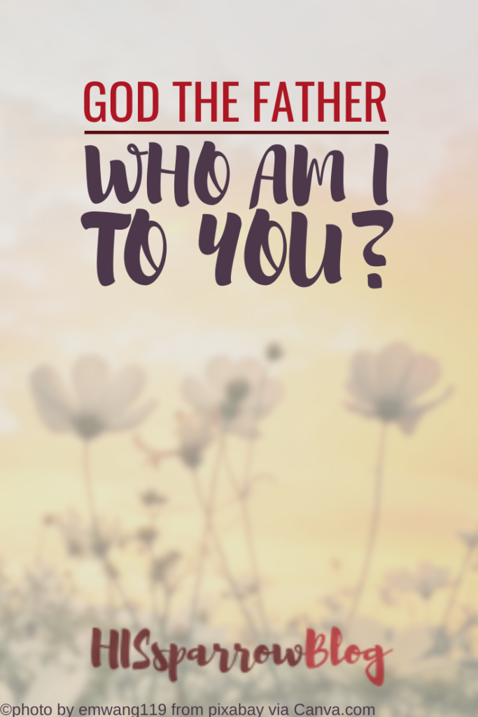 God the Father: Who Am I to You | HISsparrowBlog