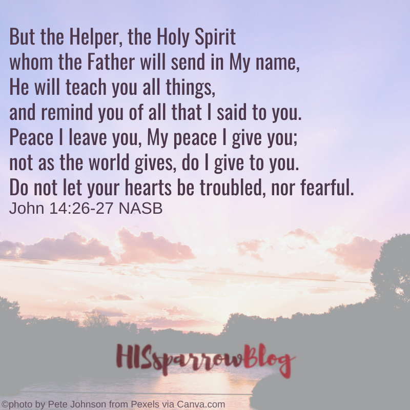 But the Helper, the Holy Spirit whom the Father will send in My name, He will teach you all things, and remind you of all that I said to you. Peace I leave you, My peace I give you; not as the world gives, do I give to you. Do not let your hearts be troubled, nor fearful. John 14:26-27 NASB | HISsparrowBlog