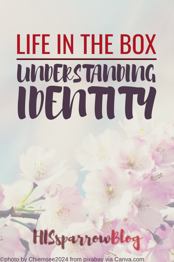 Read more about the article Life in the Box: Understanding Identity