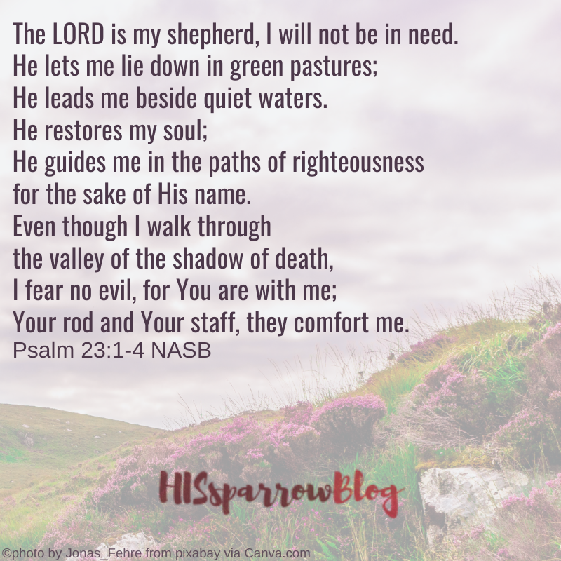 The LORD is my shepherd, I will not be in need. He lets me lie down in green pastures; He leads me beside quiet waters. He restores my soul; He guides me in the paths of righteousness for the sake of His name. Even though I walk through the valley of the shadow of death, I fear no evil, for You are with me; Your rod and Your staff, they comfort me. Psalm 23:1-4 NASB | HISsparrowBlog
