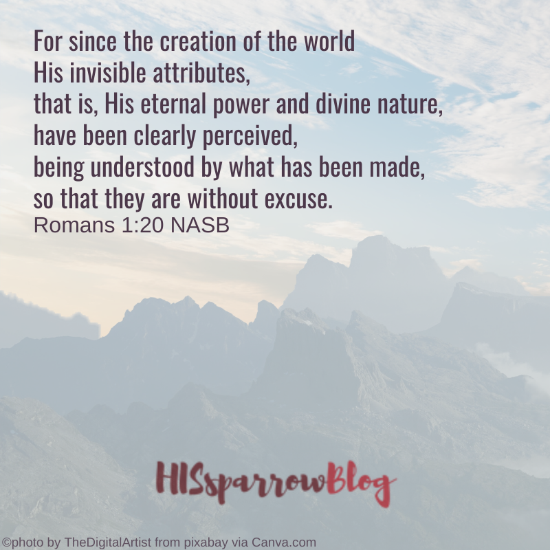 For since the creation of the world His invisible attributes, that is, His eternal power and divine nature, have been clearly perceived, being understood by what has been made, so that they are without excuse. Romans 1:20 NASB | HISsparrowBlog