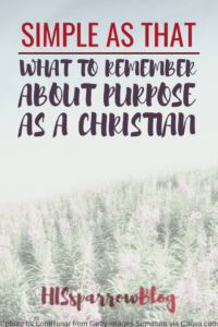 Read more about the article Simple as That: What to Remember About Purpose as a Christian