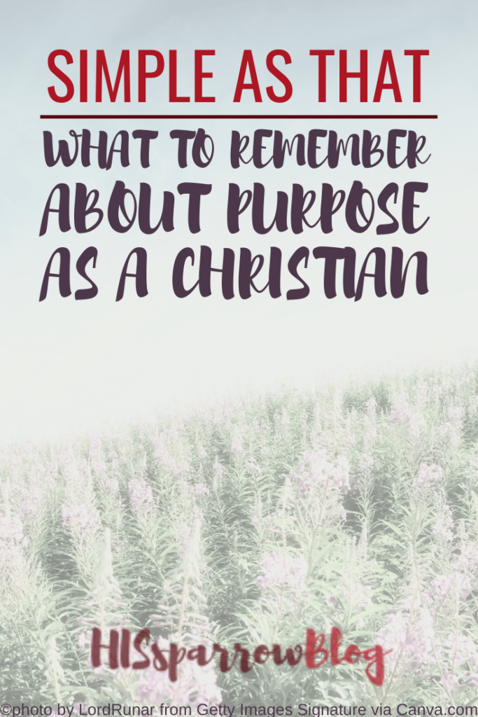 Simple as That What to Remember About Purpose as a Christian | HISsparrowBlog