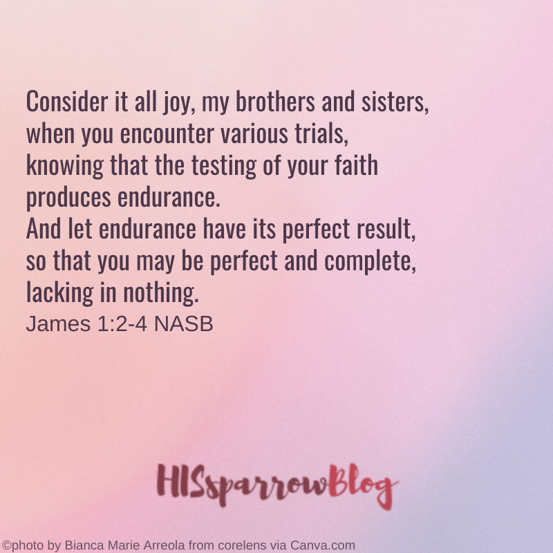 Consider it all joy, my brothers and sisters, when you encounter various trials, knowing that the testing of your faith produces endurance...James 12-4 NASB | HISsparrowBlog