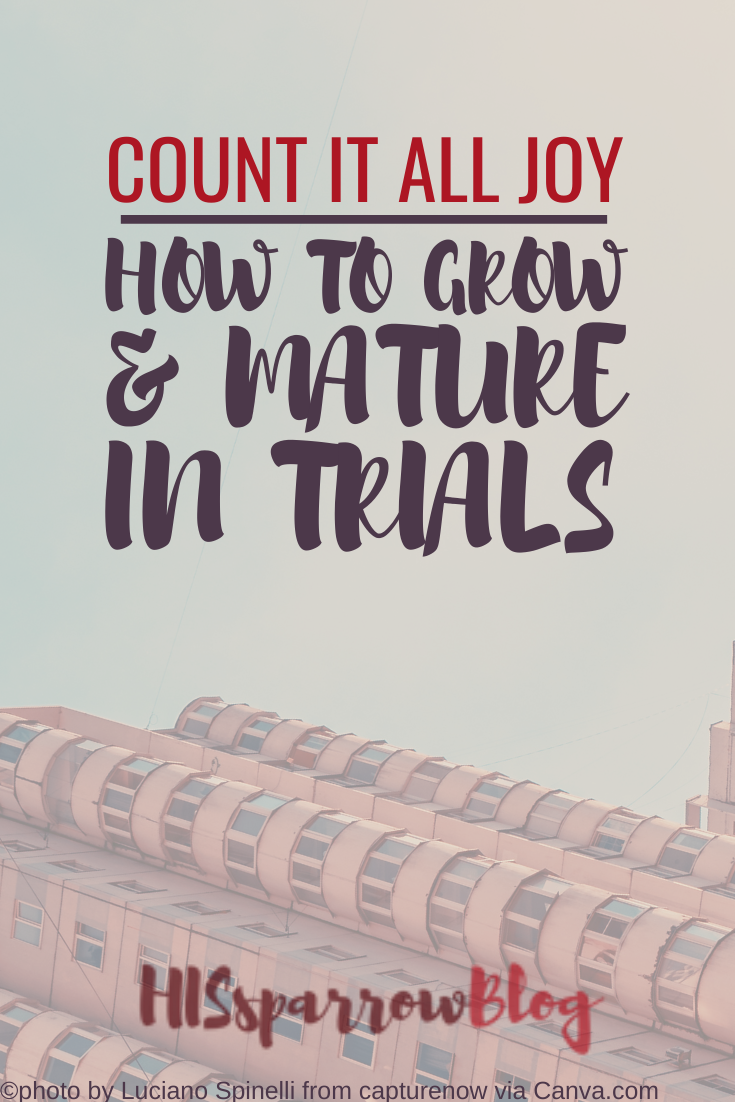 Read more about the article Count It All Joy: How to Grow & Mature in Trials