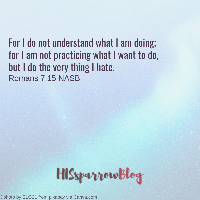 For I do not understand what I am doing; for I am not practicing what I want to do, but I do the very thing I hate. Romans 715 NASB | HISsparrowBlog