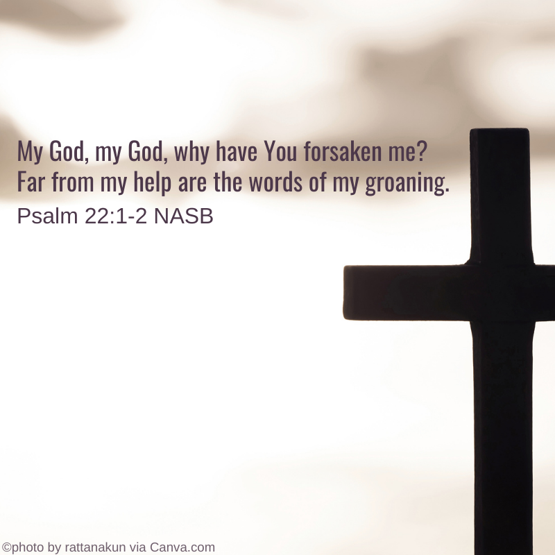 My God, my God, why have You forsaken me Far from my help are the words of my groaning. Psalm 2:21-2 NASB | HISsparrowBlog