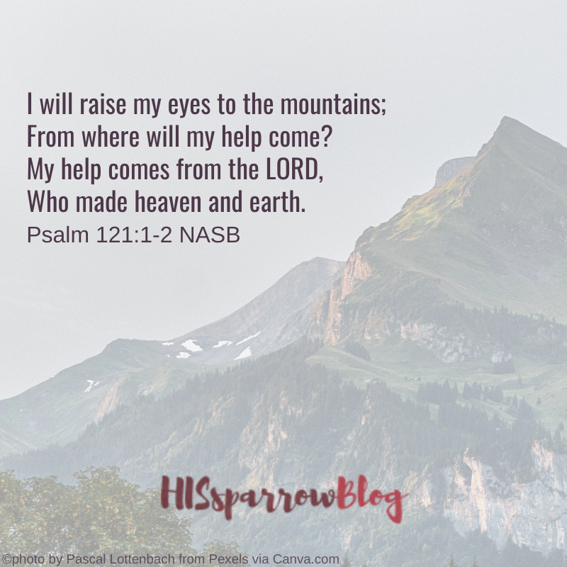 I will raise my eyes to the mountains; From where will my help come My help comes from the LORD, Who made heaven and earth. Psalm 121:1-2 NASB | HISsparrowBlog