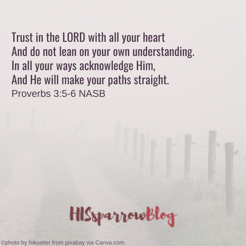 Trust in the LORD with all your heart And do not lean on your own understanding. In all your ways acknowledge Him, And He will make your paths straight. Proverbs 3:5-6 NASB |  HISsparrowBlog