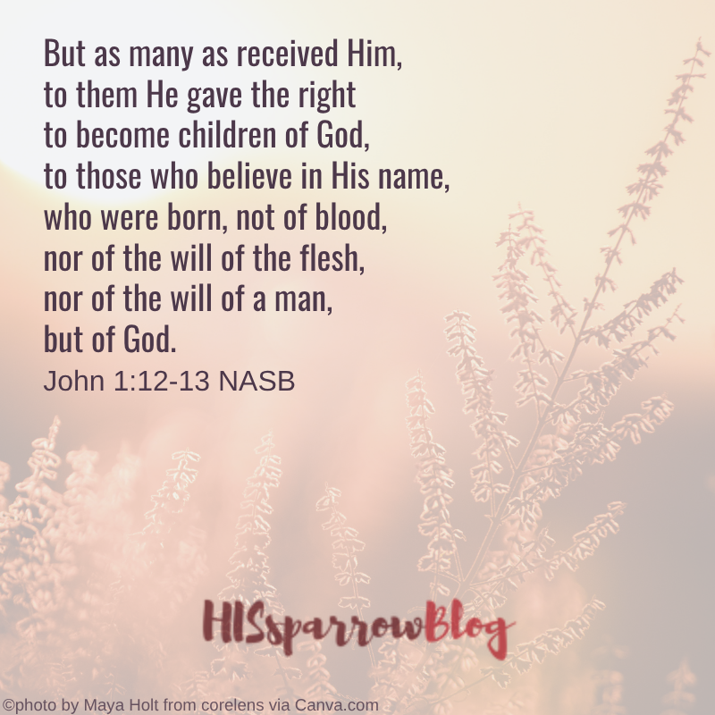 But as many as received Him, to them He gave the right to become children of God, to those who believe in His name, who were born, not of blood, nor of the will of the flesh, nor of the will of a man, but of God. John 1:12-13 NASB | HISsparrowBlog