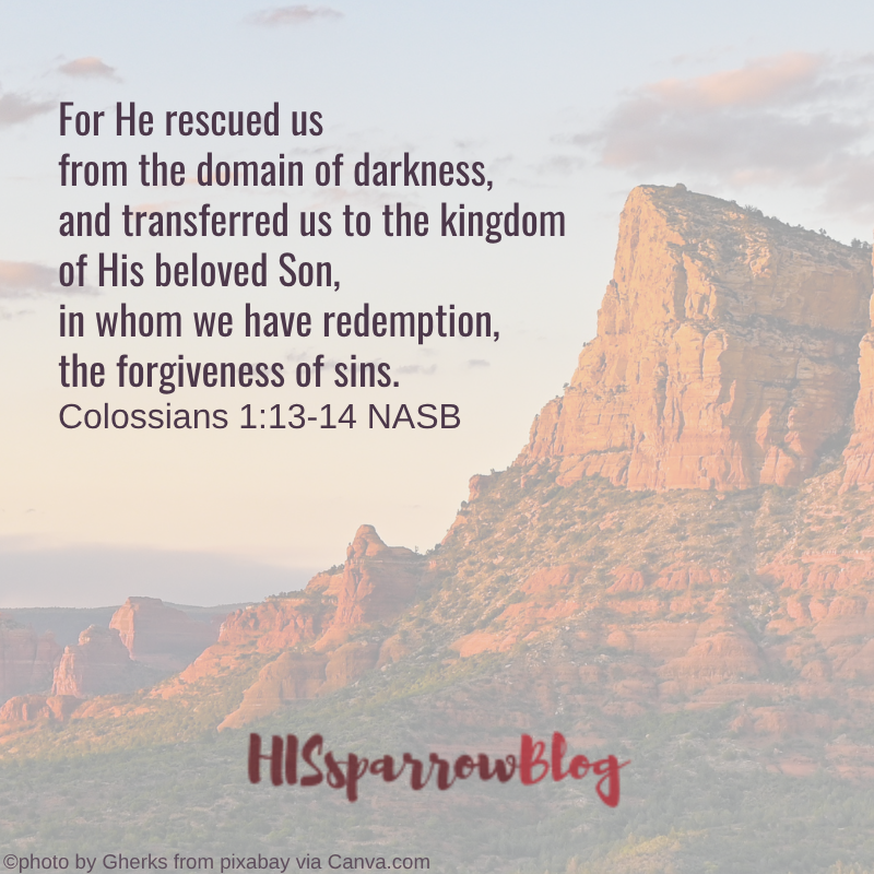 For He rescued us from the domain of darkness, and transferred us to the kingdom of His beloved Son, in whom we have redemption, the forgiveness of sins. Colossians 1:13-14 NASB | HISsparrowBlog