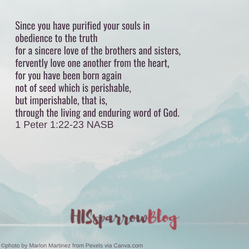 Since you have purified your souls in obedience to the truth for a sincere love of the brothers and sisters, fervently love one another from the heart, for you have been born again not of seed which is perishable, but imperishable, that is, through the living and enduring word of God. 1 Peter 1:22-23 NASB | HISsparrowBlog