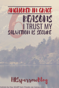 Read more about the article Anchored in Grace: 6 Reasons I Trust My Salvation Is Secure
