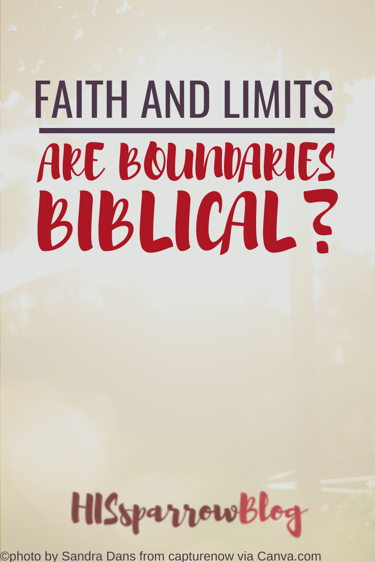 Read more about the article Faith and Limits: Are Boundaries Biblical?